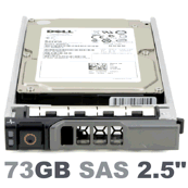 RW549 Dell Compatible 73-GB 10K 2.5 SP SAS w/G176J